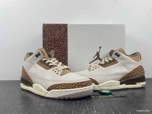 CT8532-102 3 Palomino Jordan Air 1010